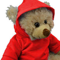 Red Hoodie | Bear World.